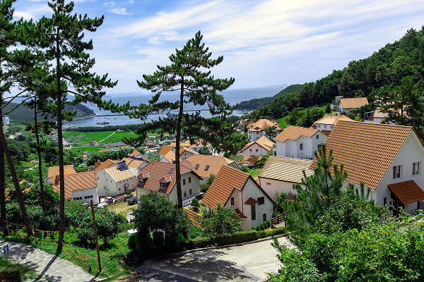 ��� ǳ���� �� ȫ���� ����